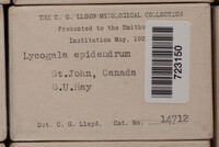 Image Associated With the Occurence